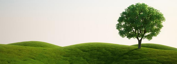 Architettura ambientale - risorse rinnovabili