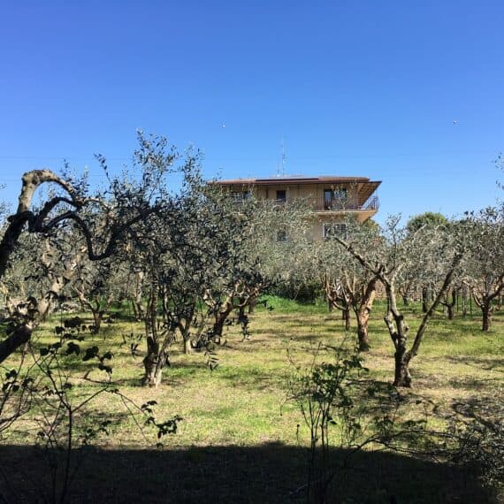 Asilo nido Bimbi tra gli ulivi - esterno - Architetto Virgili